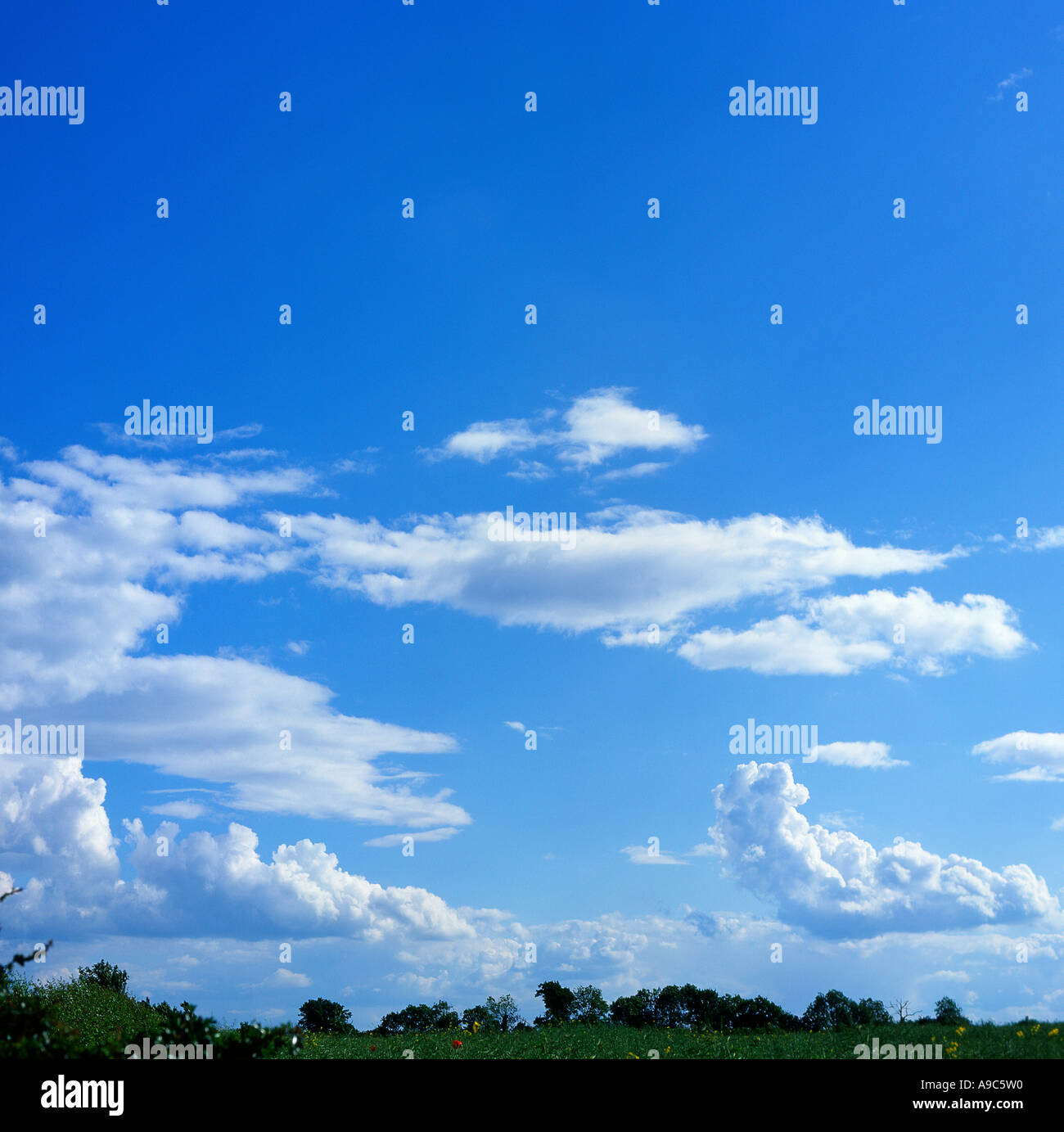 White clouds overhead hi-res stock photography and images - Alamy