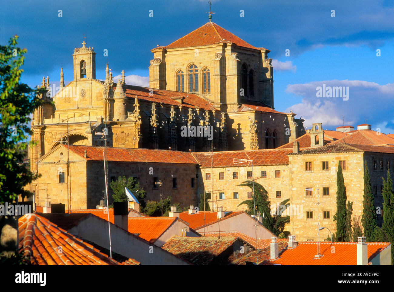 View of cathedral Salamanca Castile Leon Spain Stock Photo
