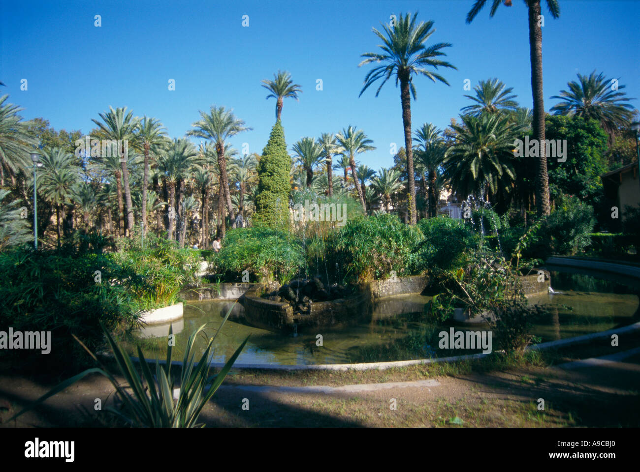 Botanical Garden in Palermo Sicily island Italy Stock Photo - Alamy