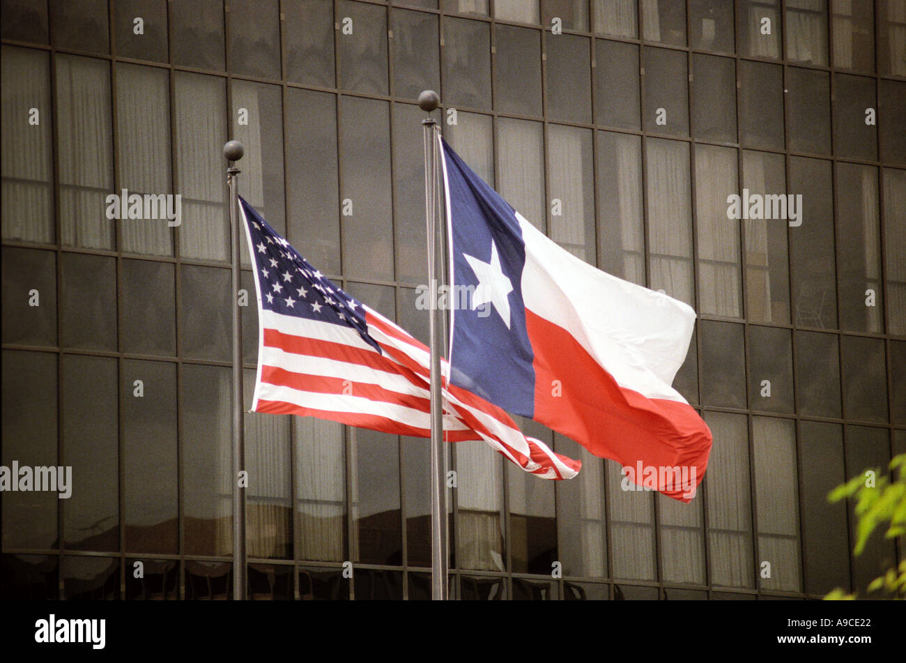 Stars and Stripes and Lone star flags Stock Photo Alamy
