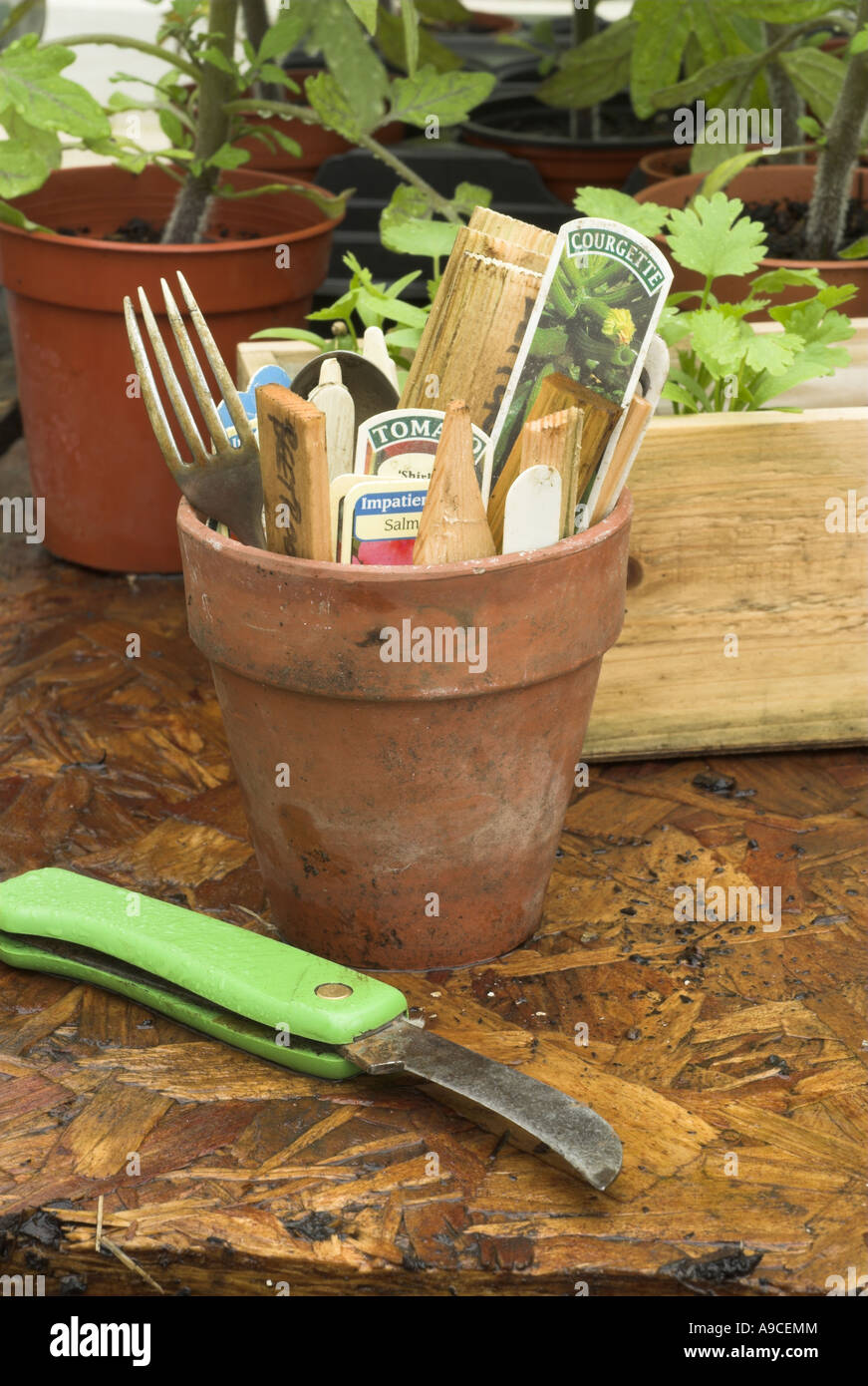 Plant labels in the greenhouse bench Stock Photo Alamy