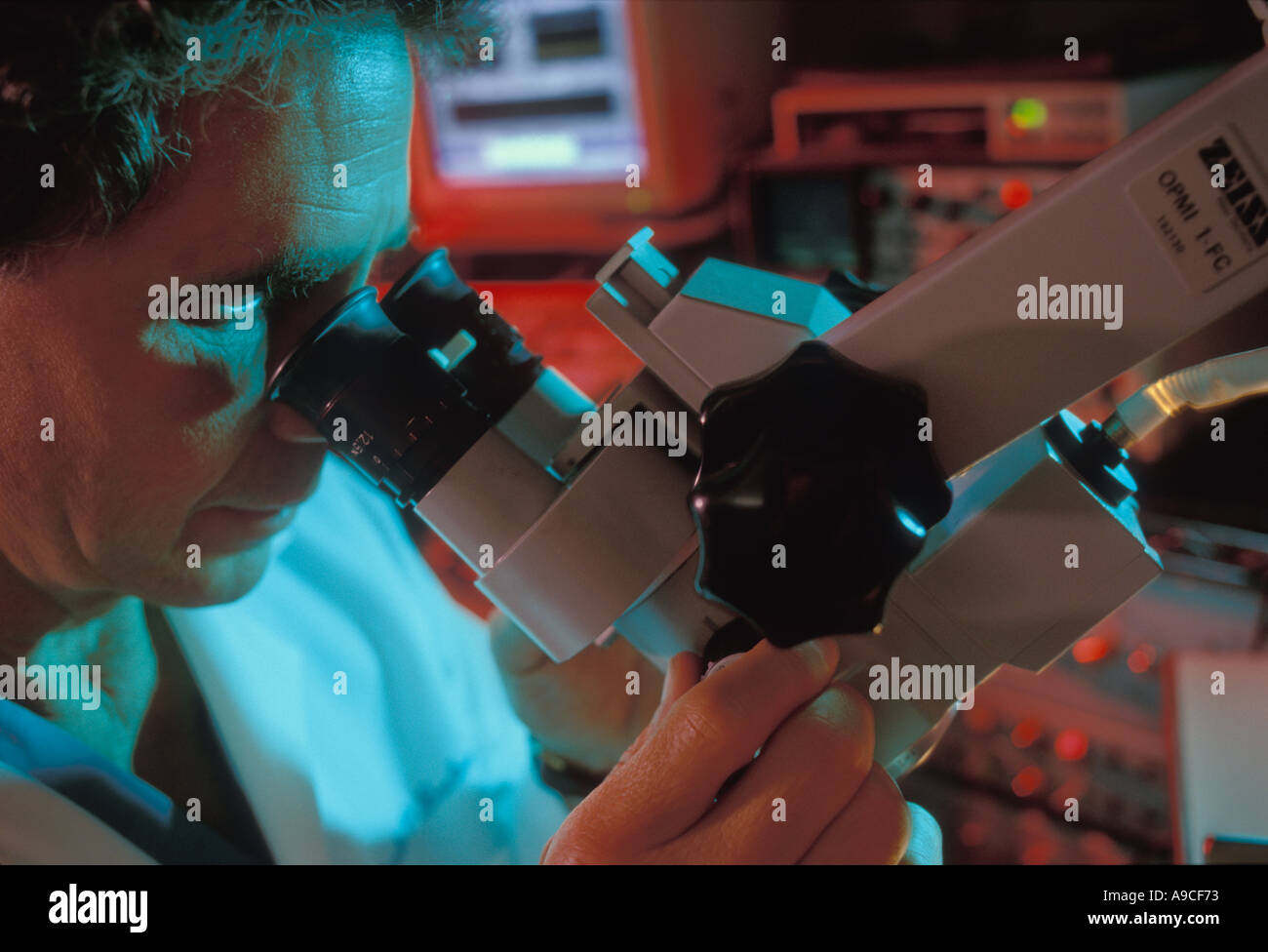 Researcher examining specimen through microscope Stock Photo Alamy