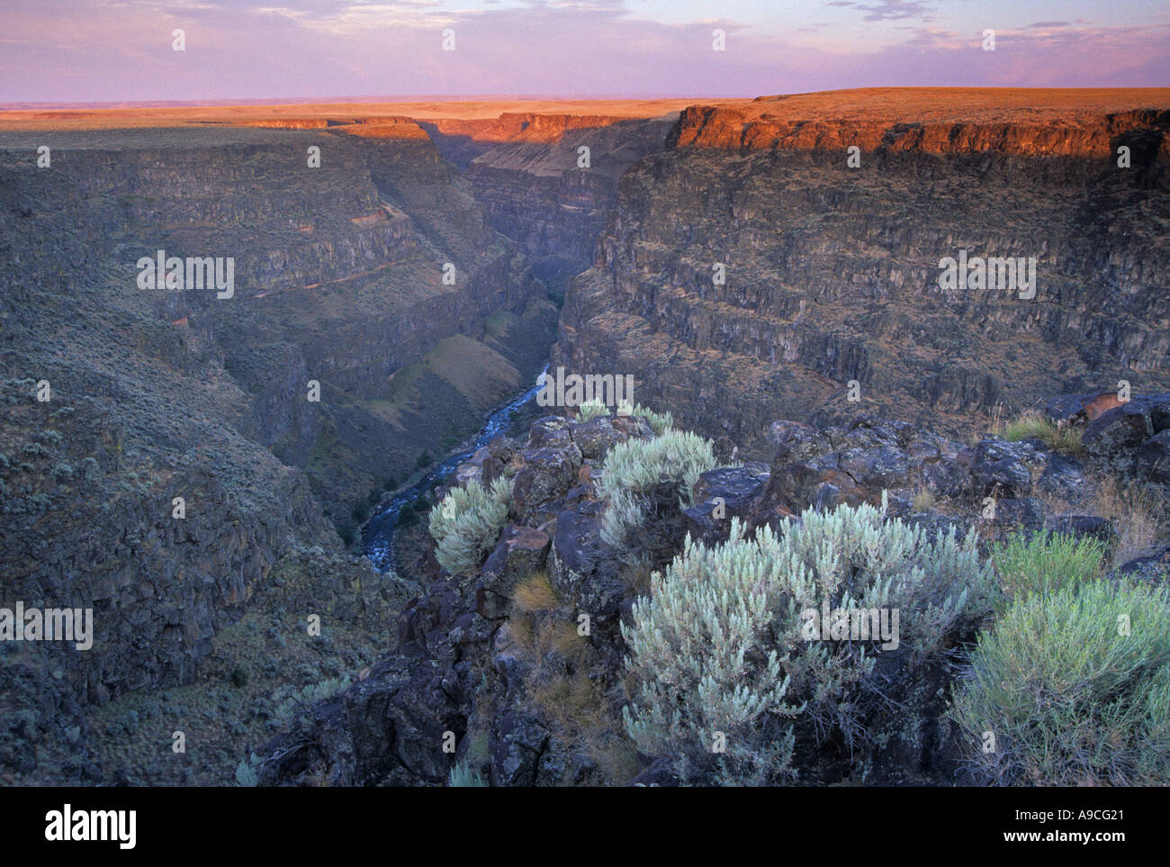 Sunrise colors the upper walls of Bruneau Canyon in Idaho USA Stock