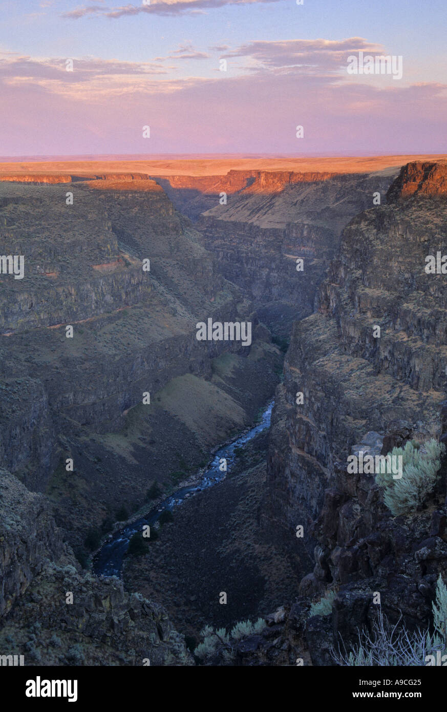 Sunrise colors the upper walls of Bruneau Canyon in Idaho USA Stock