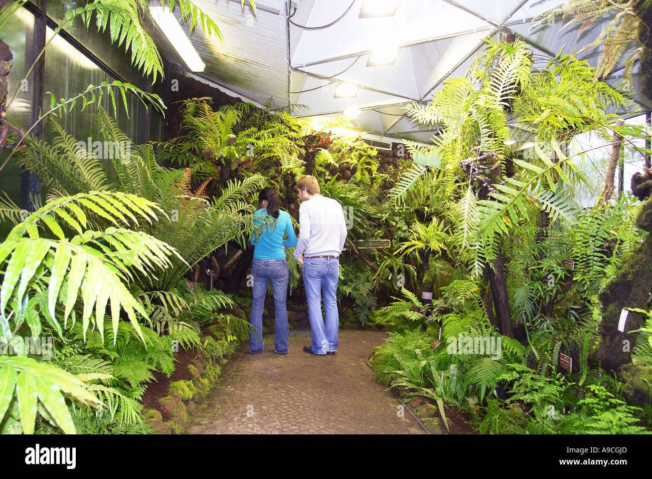 Old Botanical Garden Hamburg Germany Stock Photo 7042092 Alamy