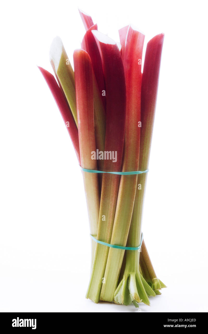 Bunch of rhubarb (Rheum officinale) Stock Photo