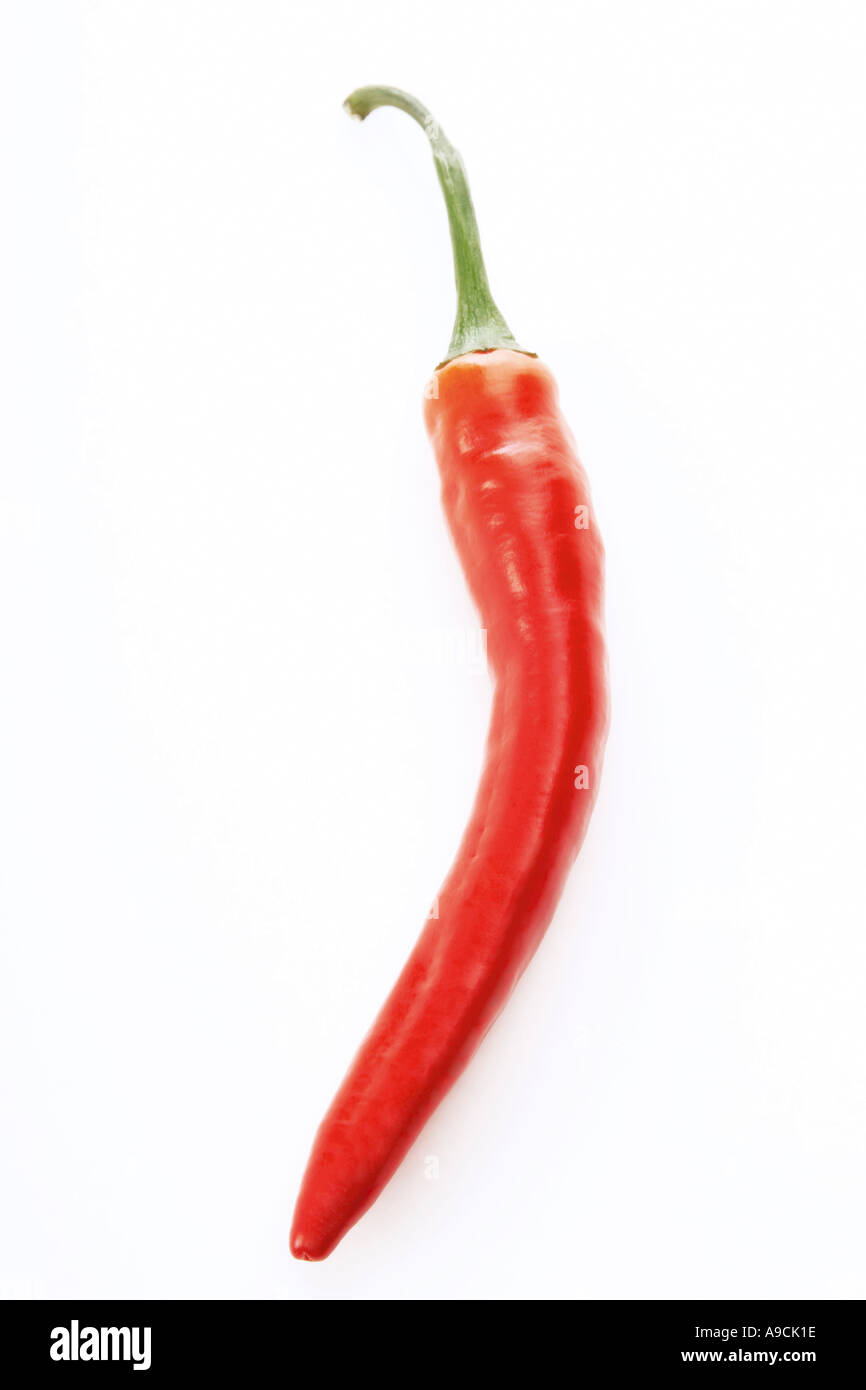 Chillie, close up Stock Photo