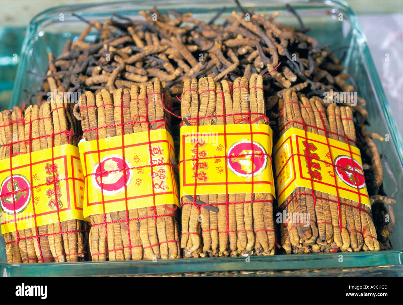 Chinese medicine Chinese Caterpillar fungus Hong Kong china Stock Photo Alamy