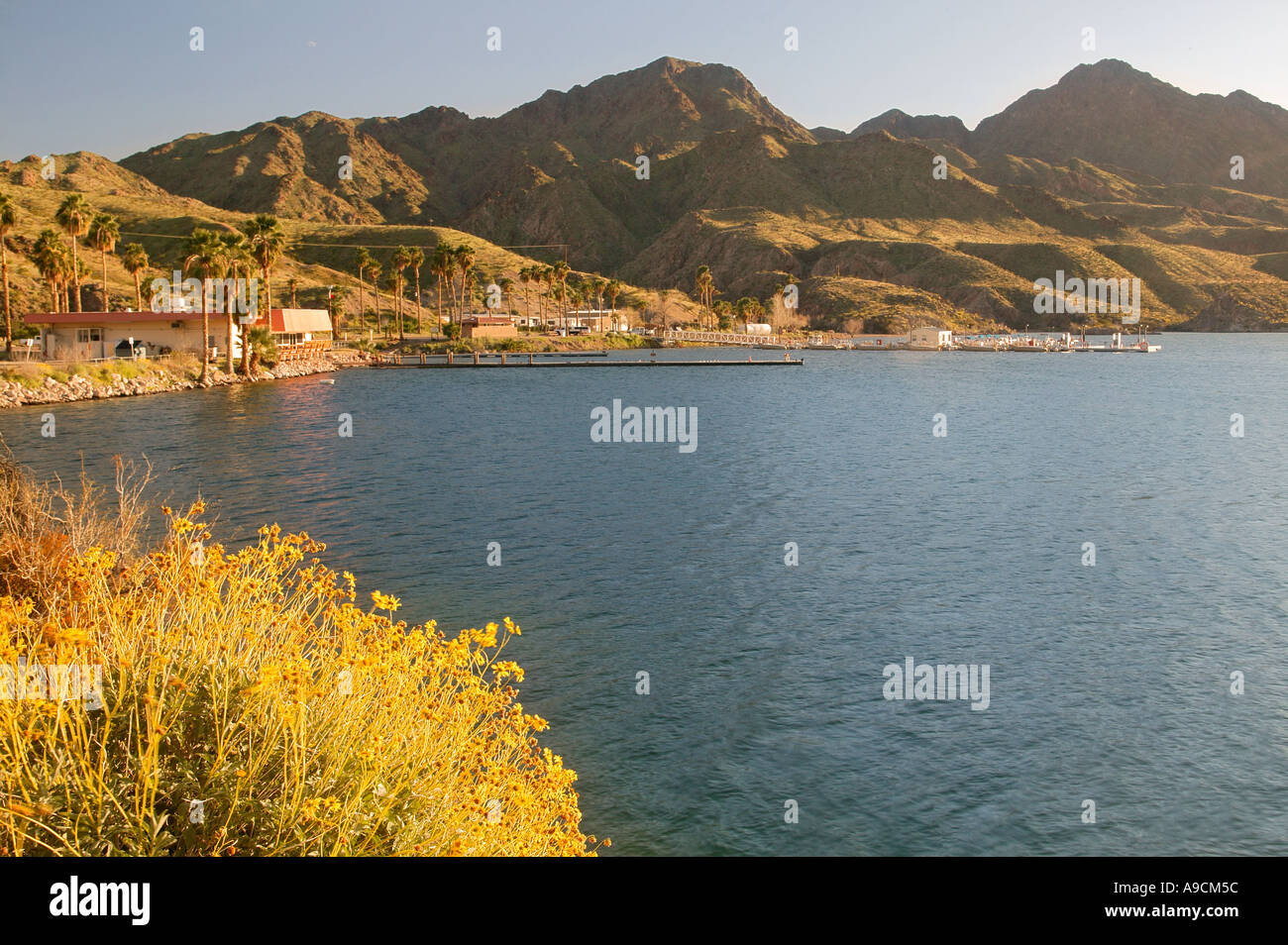 Willow Beach area of Lake Mojave and the Colorado River Lake Mead