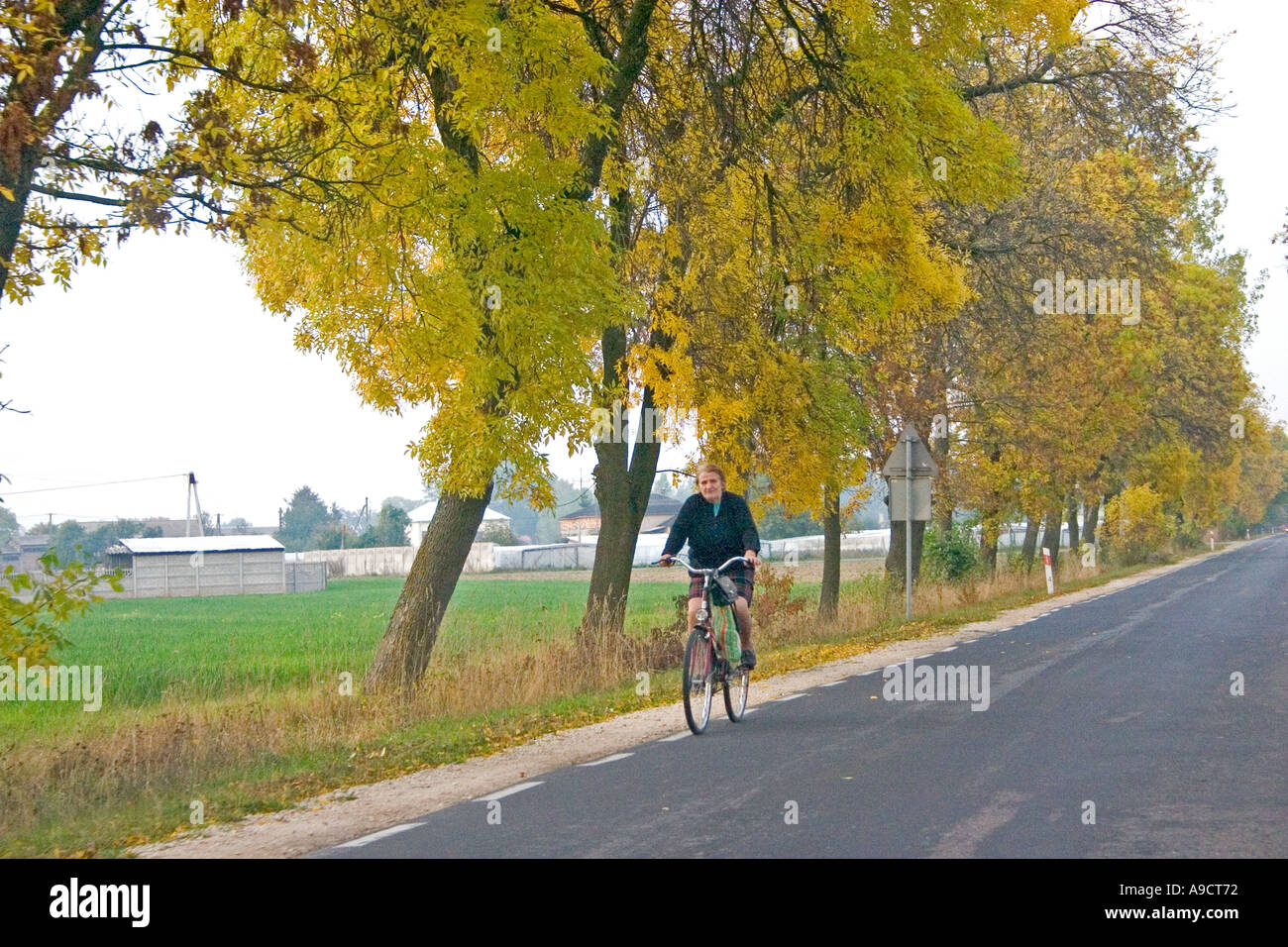 Mature woman riding bicycle down lonely tree lined road. Highway 72 between Lodz and Rawa Maz. Poland Stock Photo