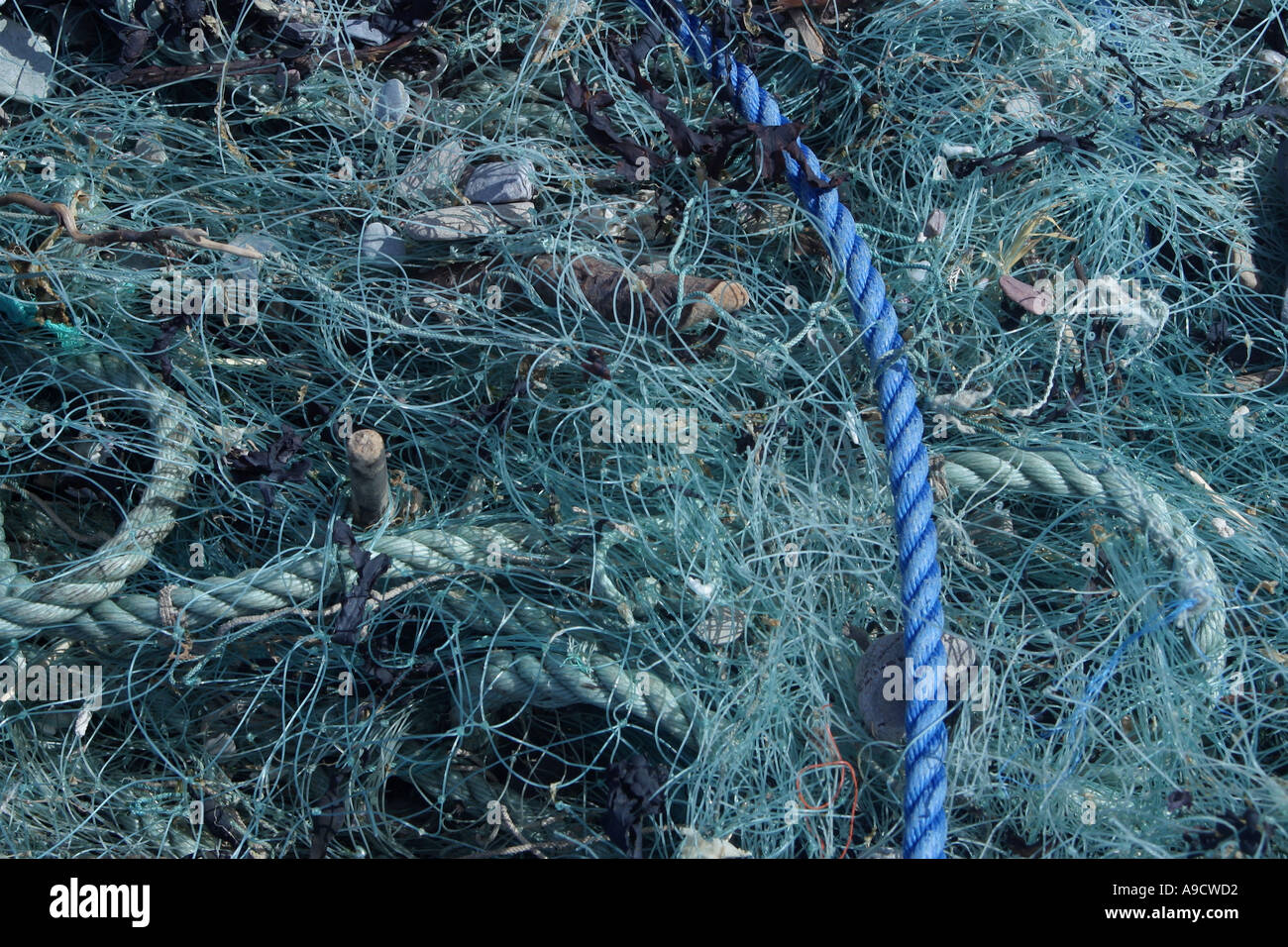 Washed Up Rope Seashore washed up rope hi-res stock photography and images - Alamy