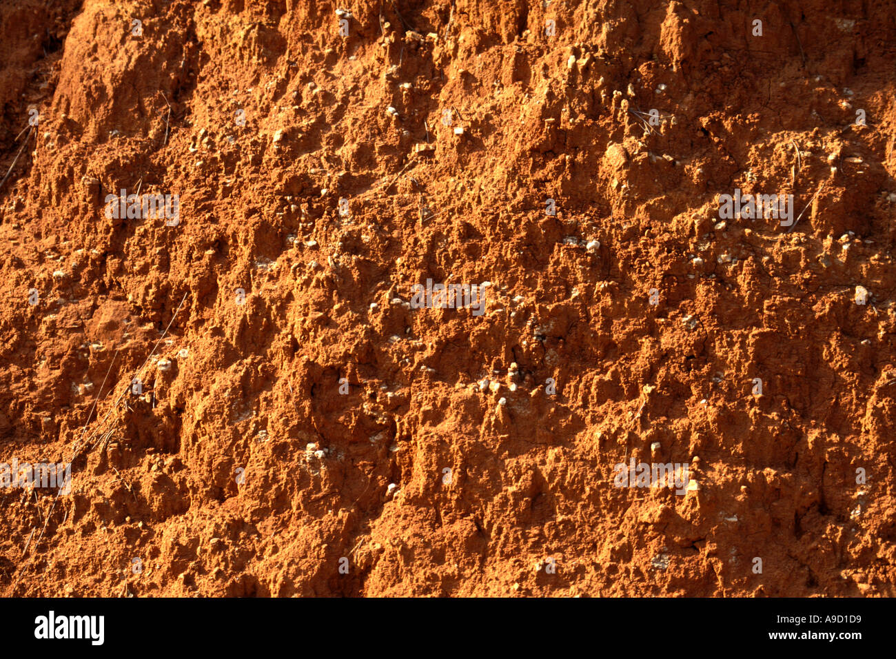 Ferric Soil High Resolution Stock Photography and Images - Alamy