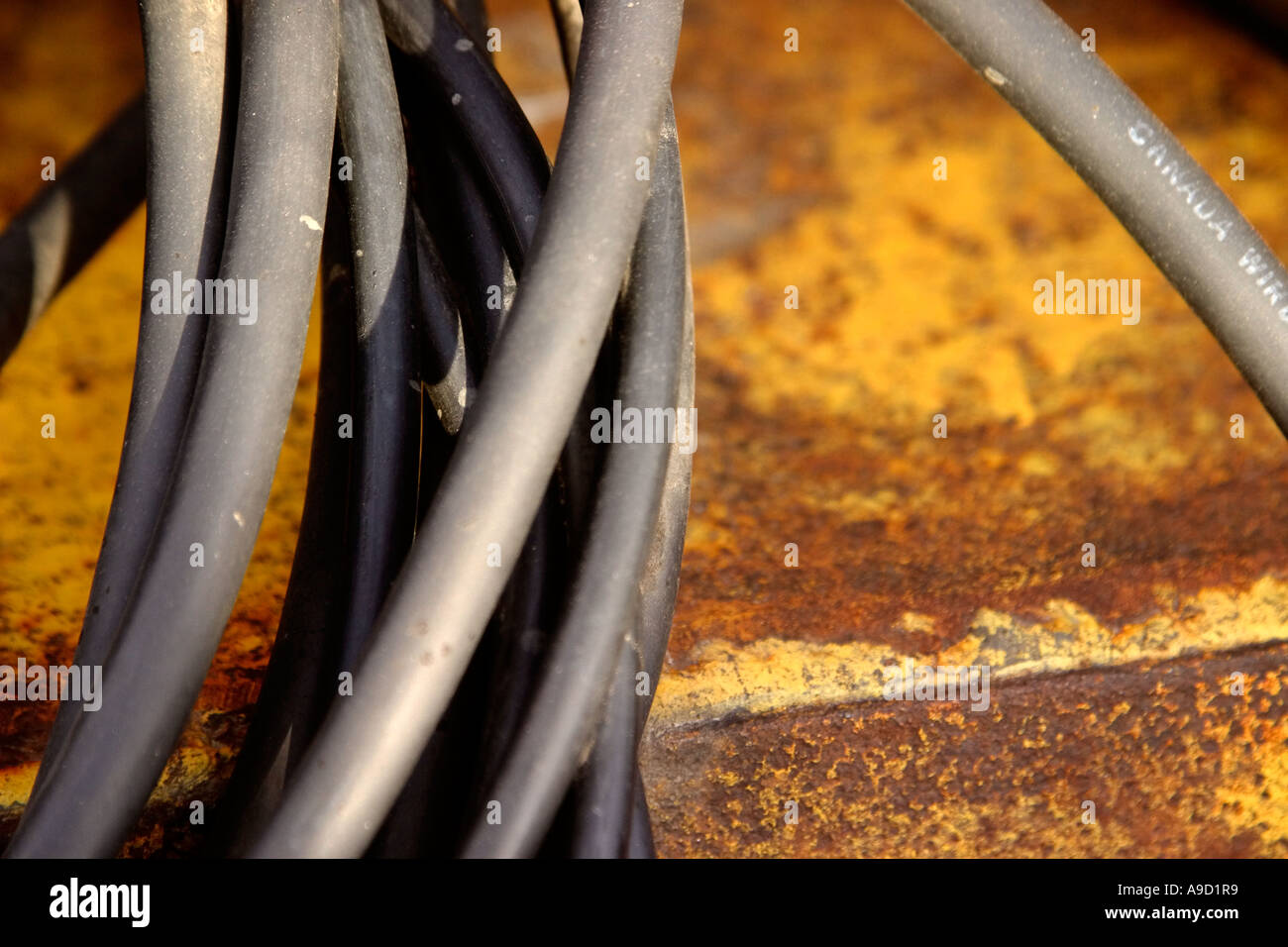 electrical wire coil Stock Photo Alamy