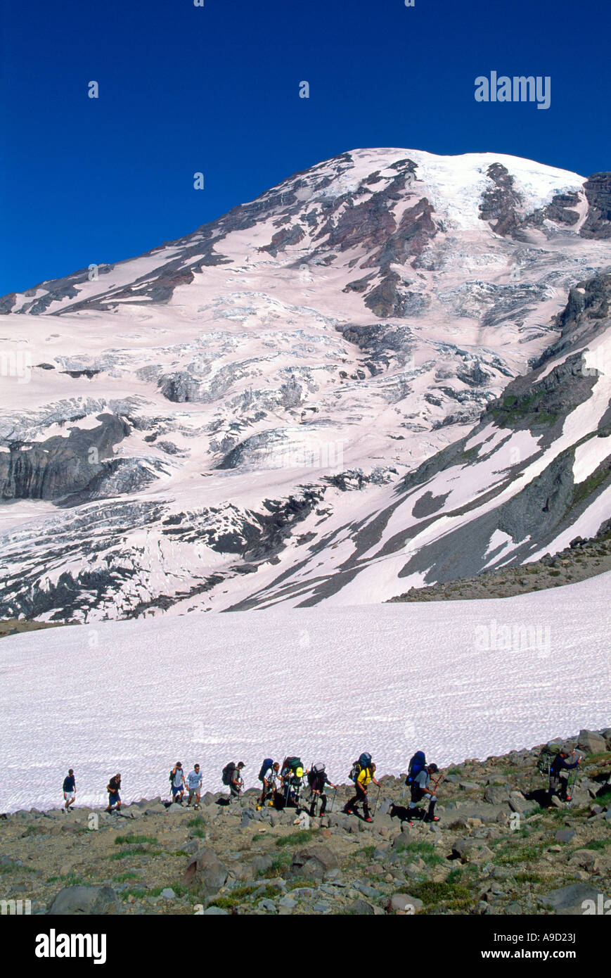 Hikers on the Trail to Camp Muir in Mount Rainier National Park in ...