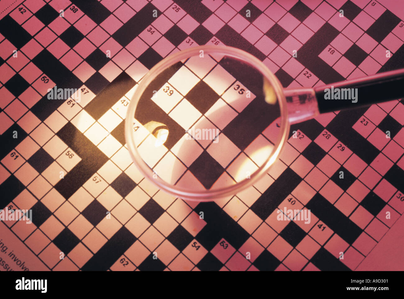 Magnifying Glass and Crossword Puzzle Stock Photo Alamy