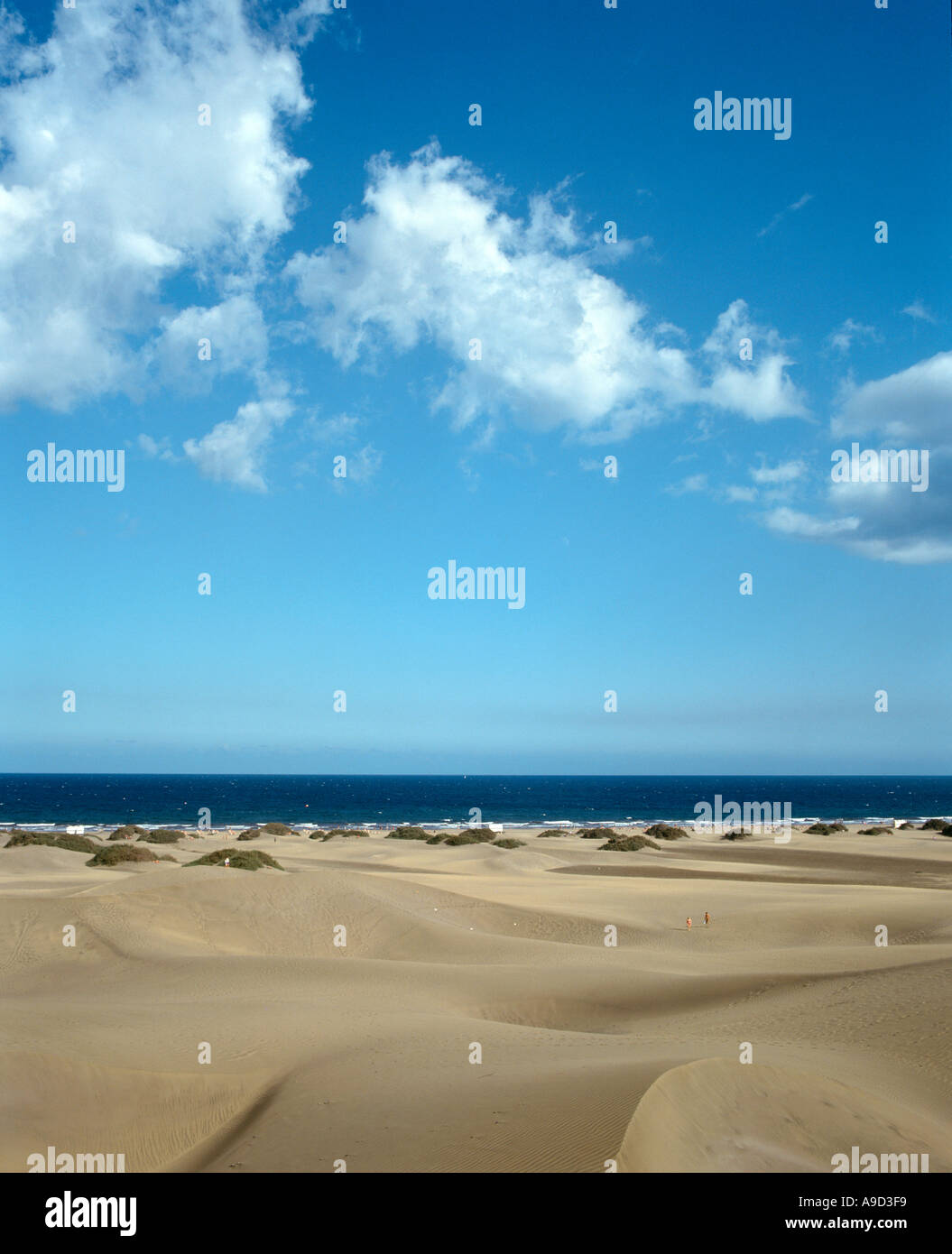 Maspalomas sand dunes, Gran Canaria, Canary Islands, Spain Stock Photo