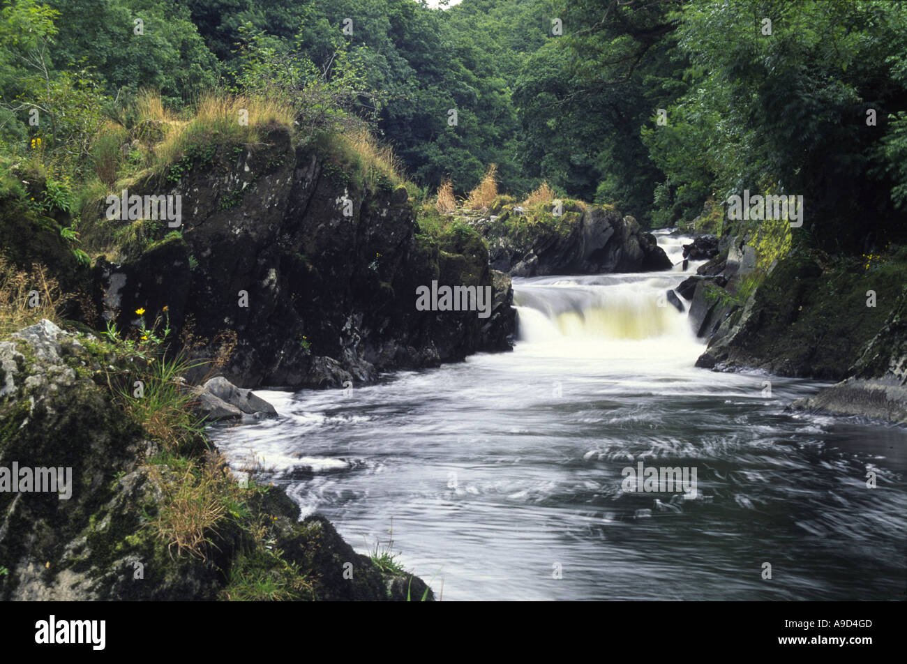 Dark fast flowing waters of the River Teifi at Llandysul, Ceredigion, Wales, UK Stock Photo