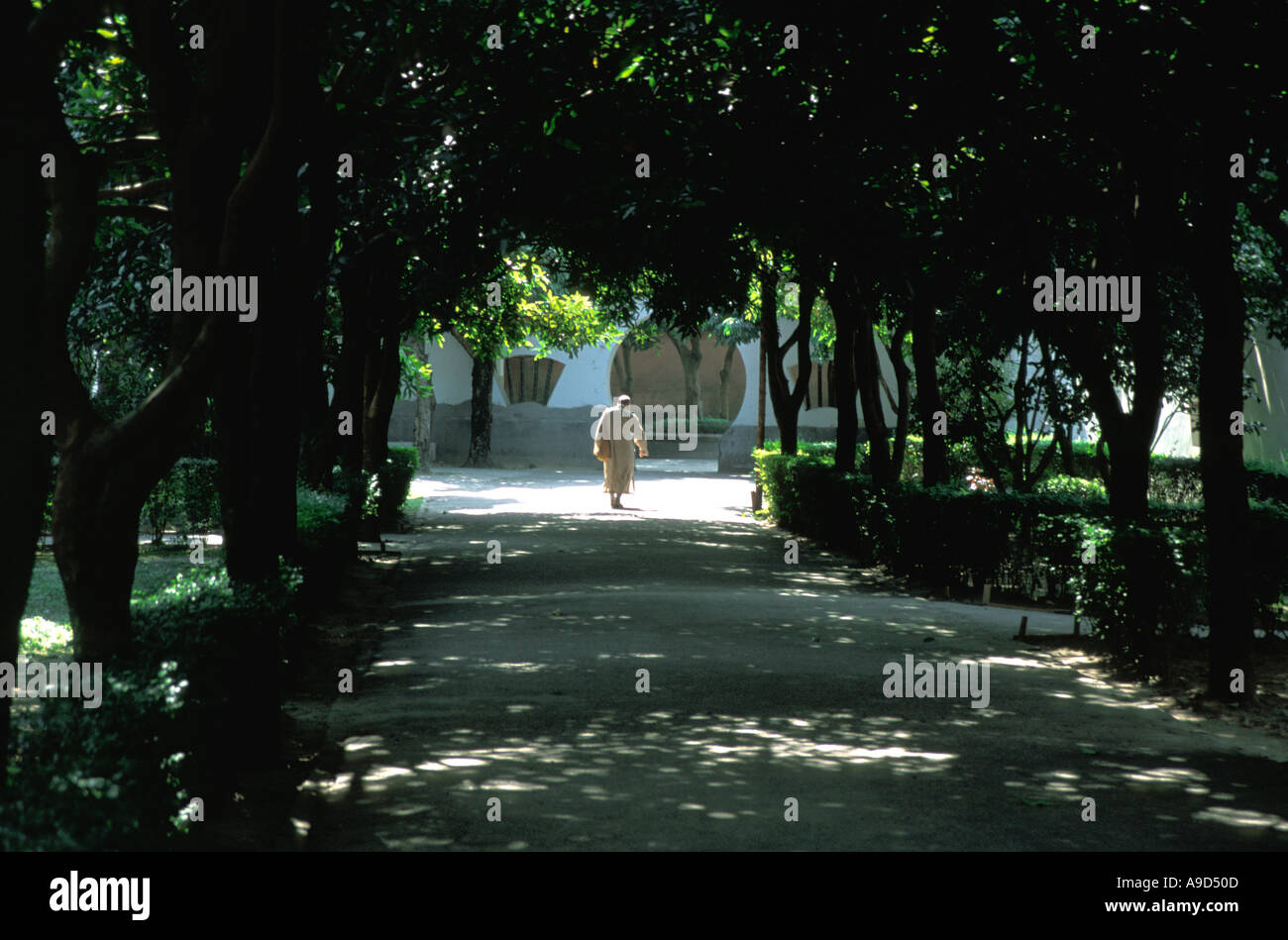 Buddhist monk walking away hi-res stock photography and images - Alamy