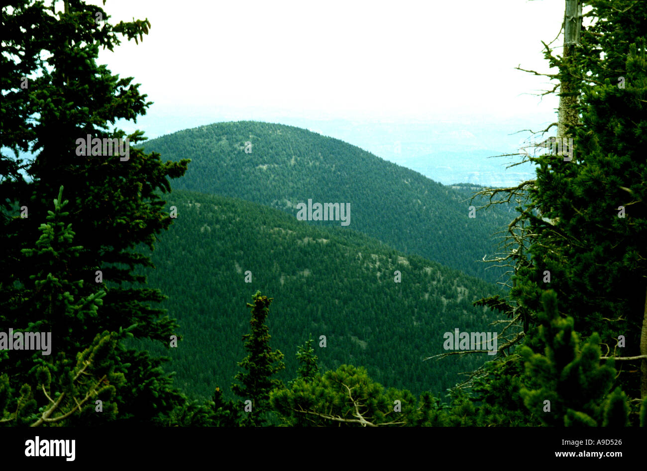 Rocky mountains mountain range hi-res stock photography and images - Alamy