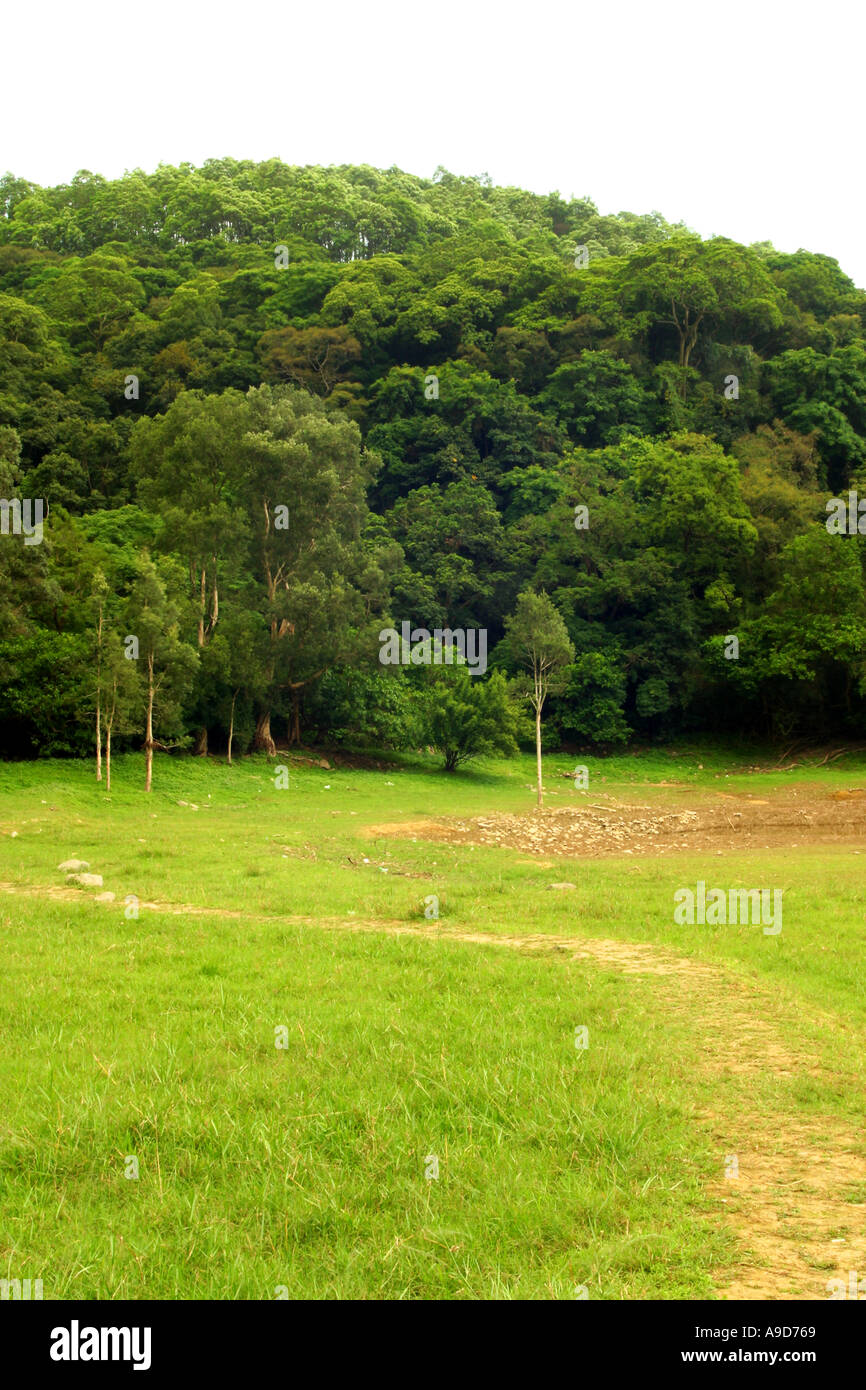 grassland in china Stock Photo - Alamy