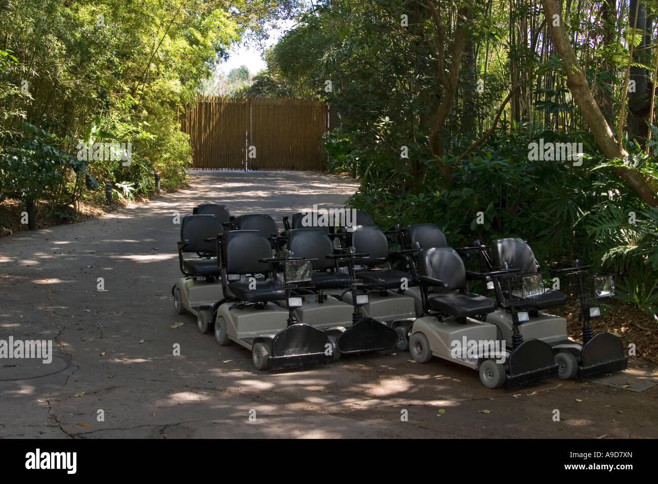 Scooter parking area at Disney Orlando Animal Kingdom Stock Photo Alamy