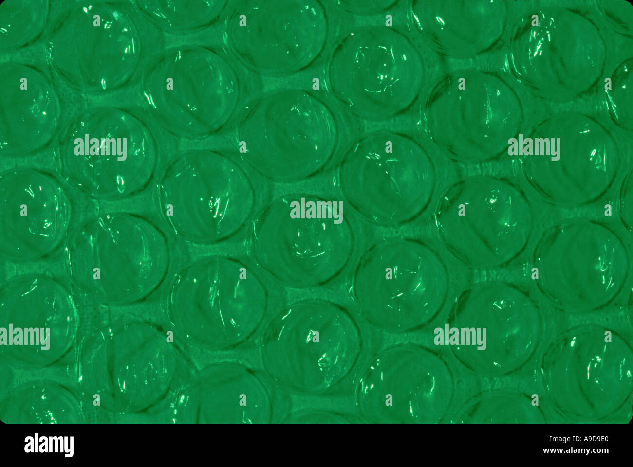 green bubble wrap Stock Photo Alamy