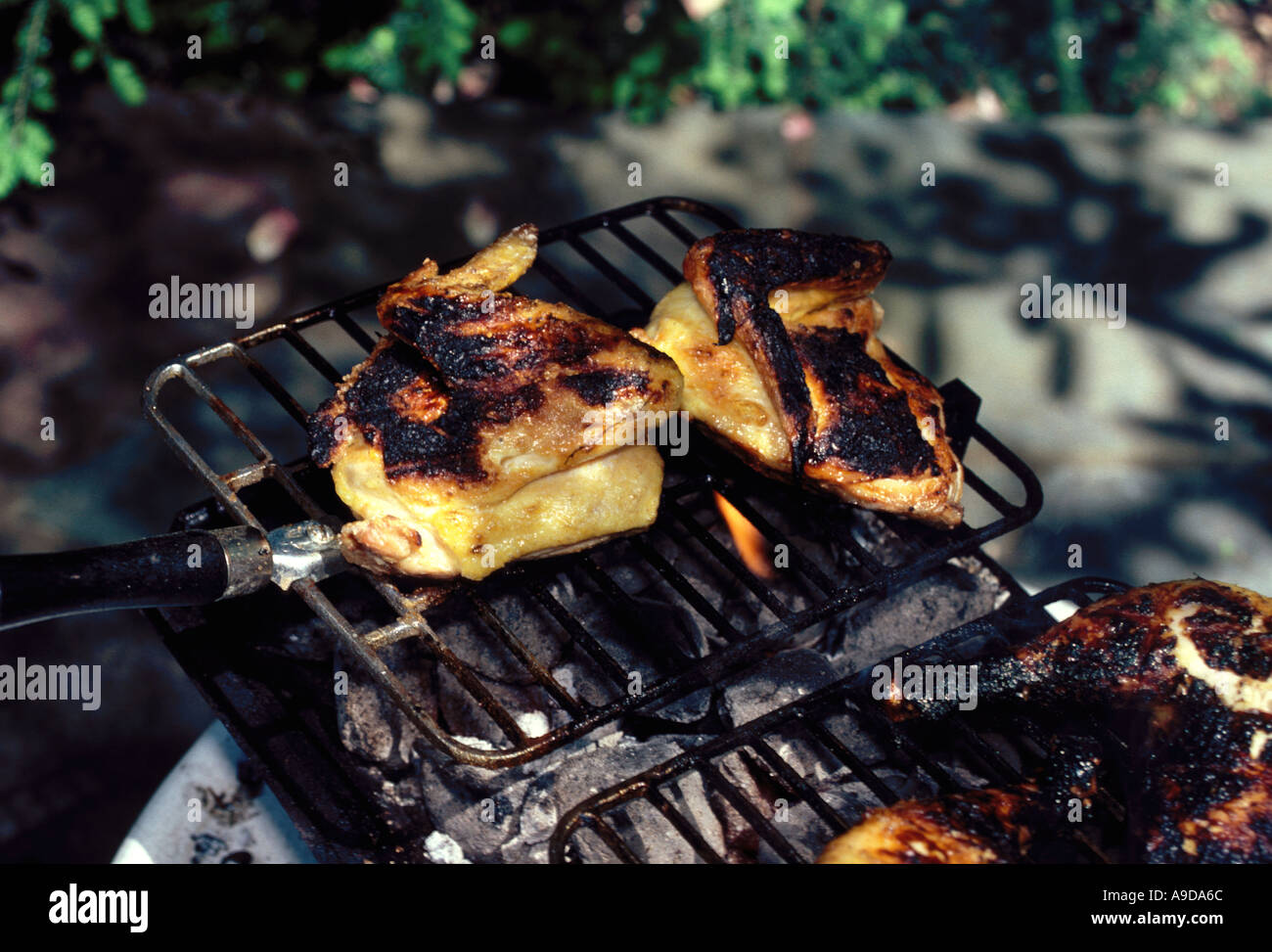 FOOD BAR B Q Stock Photo