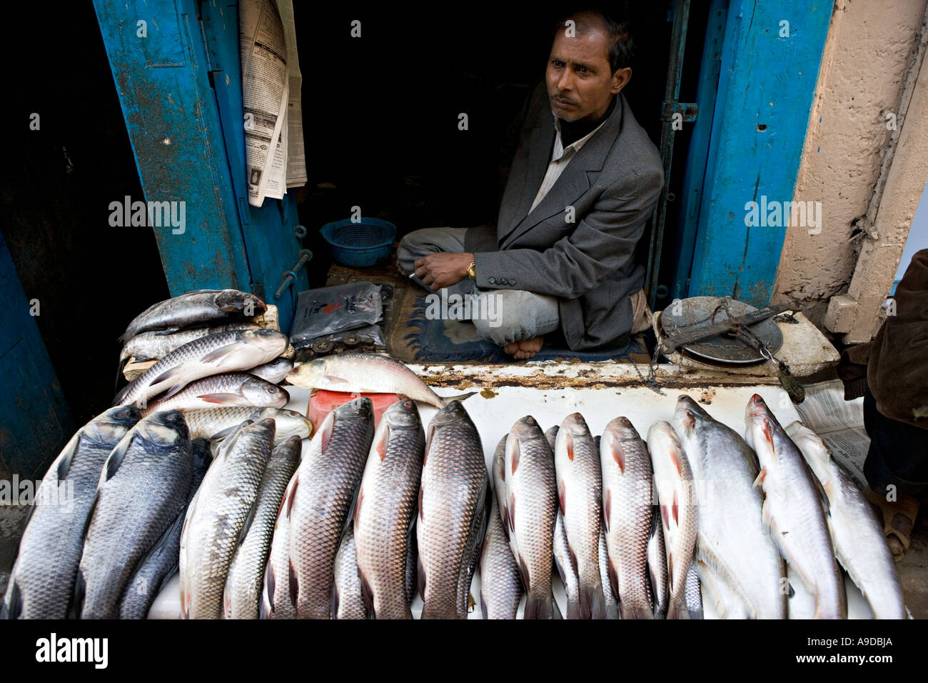 Fish for sale in Kathmandu, Nepal Stock Photo Alamy