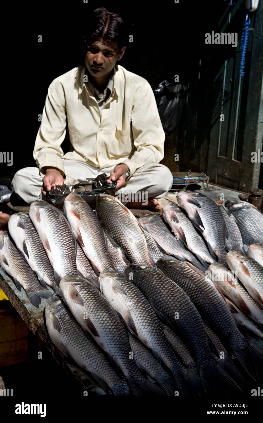 Fish for sale in Kathmandu, Nepal Stock Photo Alamy