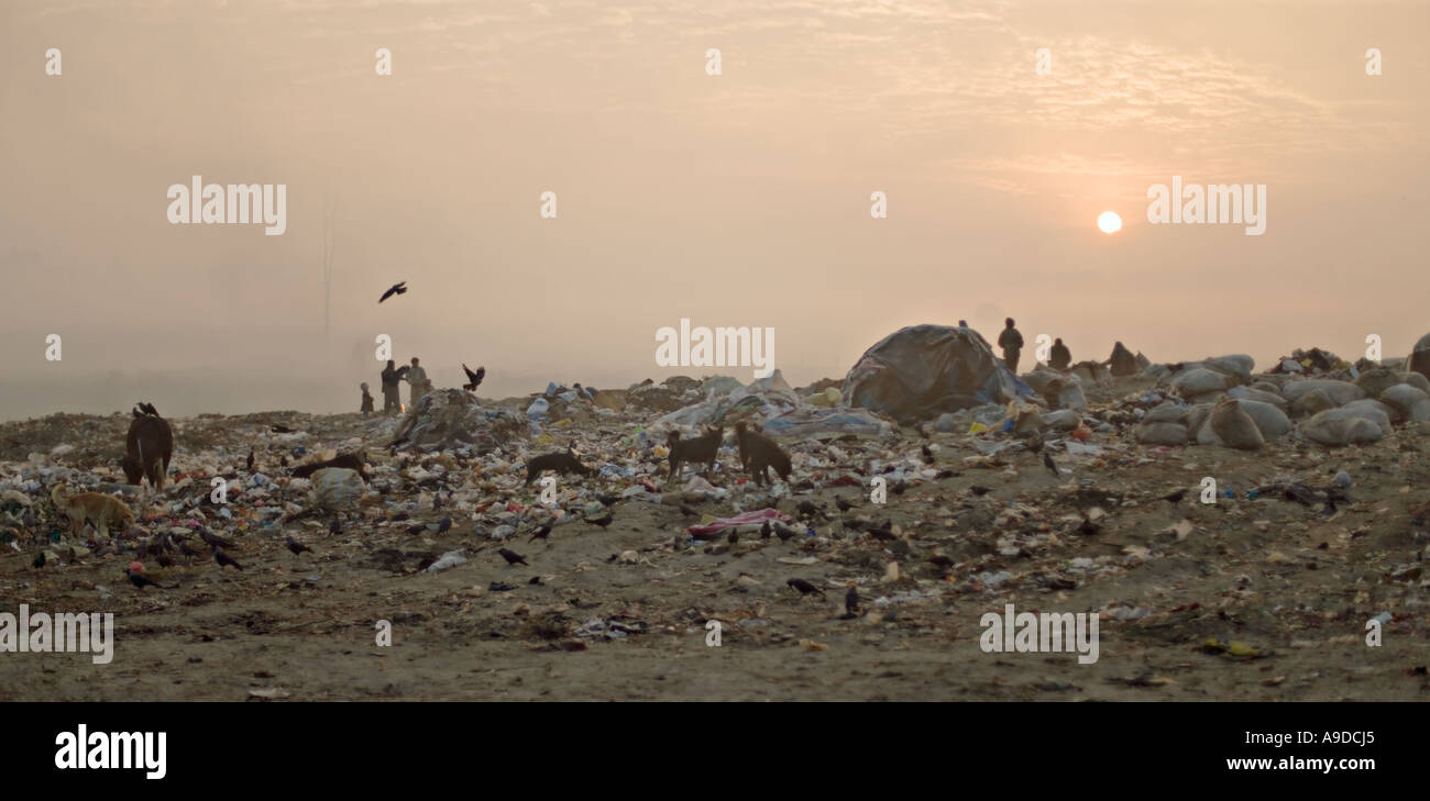 Community living on a rubbish dump in Kathmandu, Nepal Stock Photo Alamy