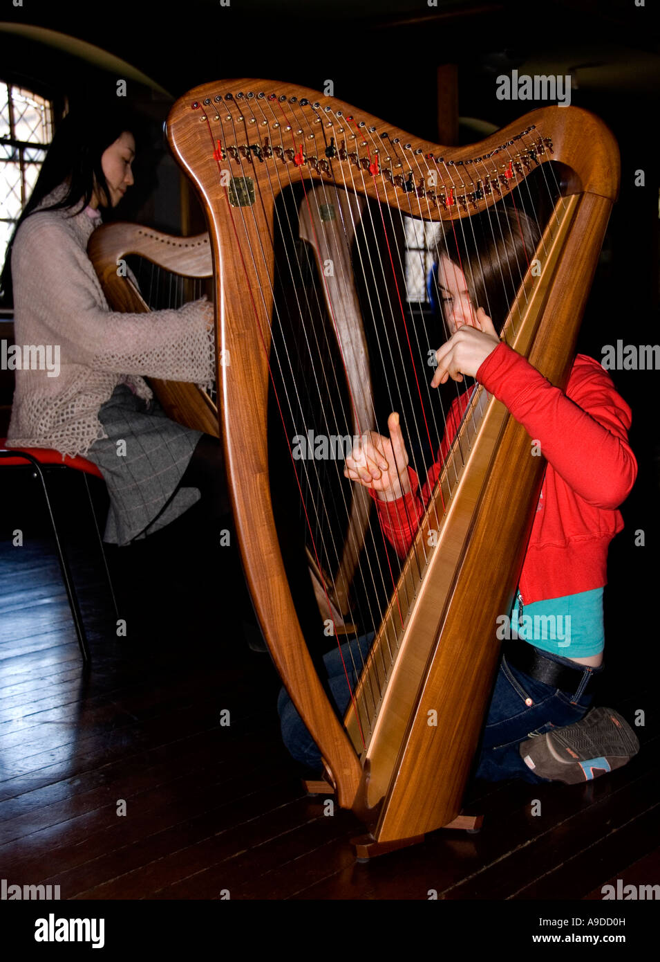 Harp players in the Edinburgh harp Festival 2007 Stock Photo Alamy