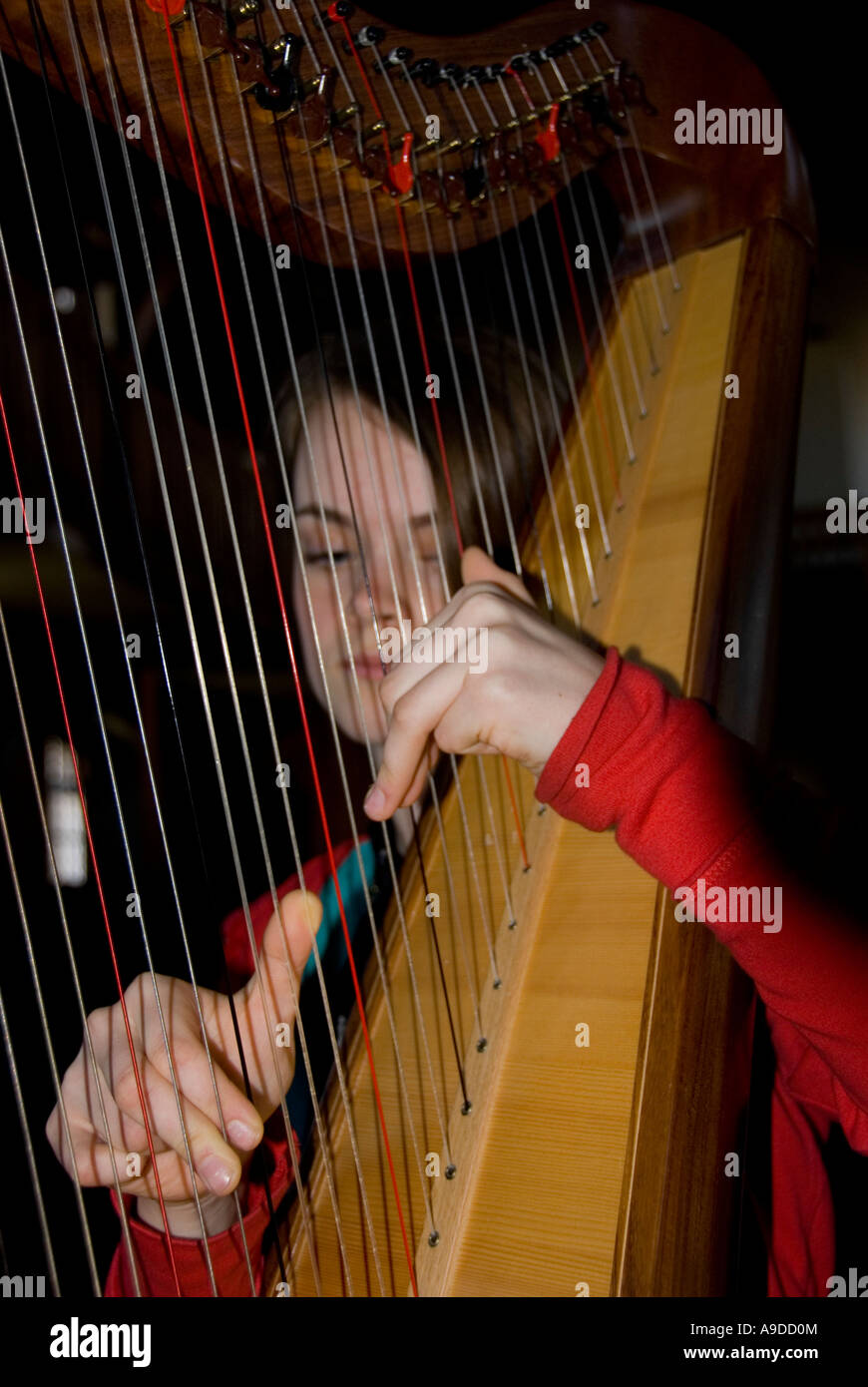 Harp players in the Edinburgh harp Festival 2007 Stock Photo Alamy