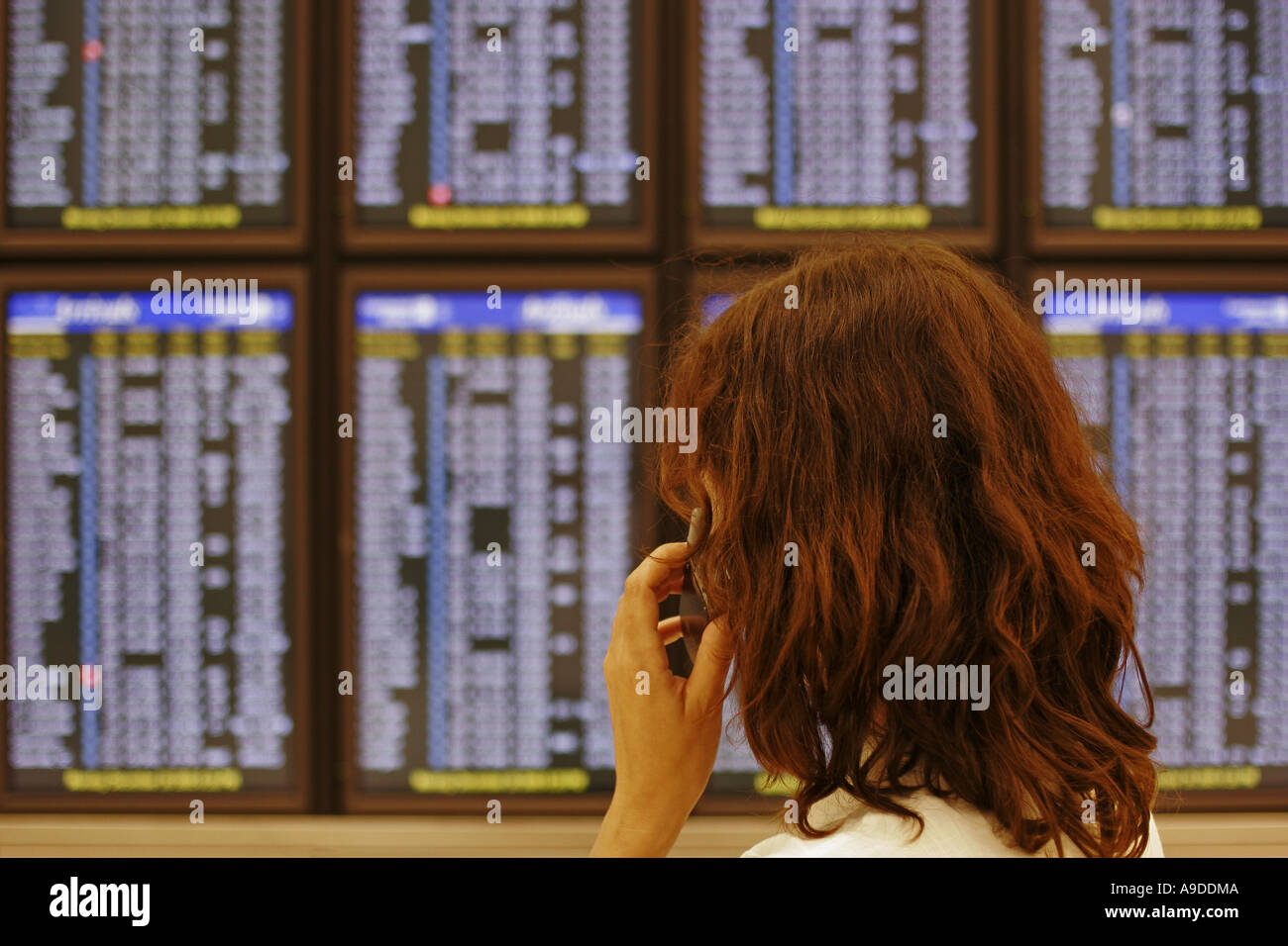 Woman checking the  table Stock Photo