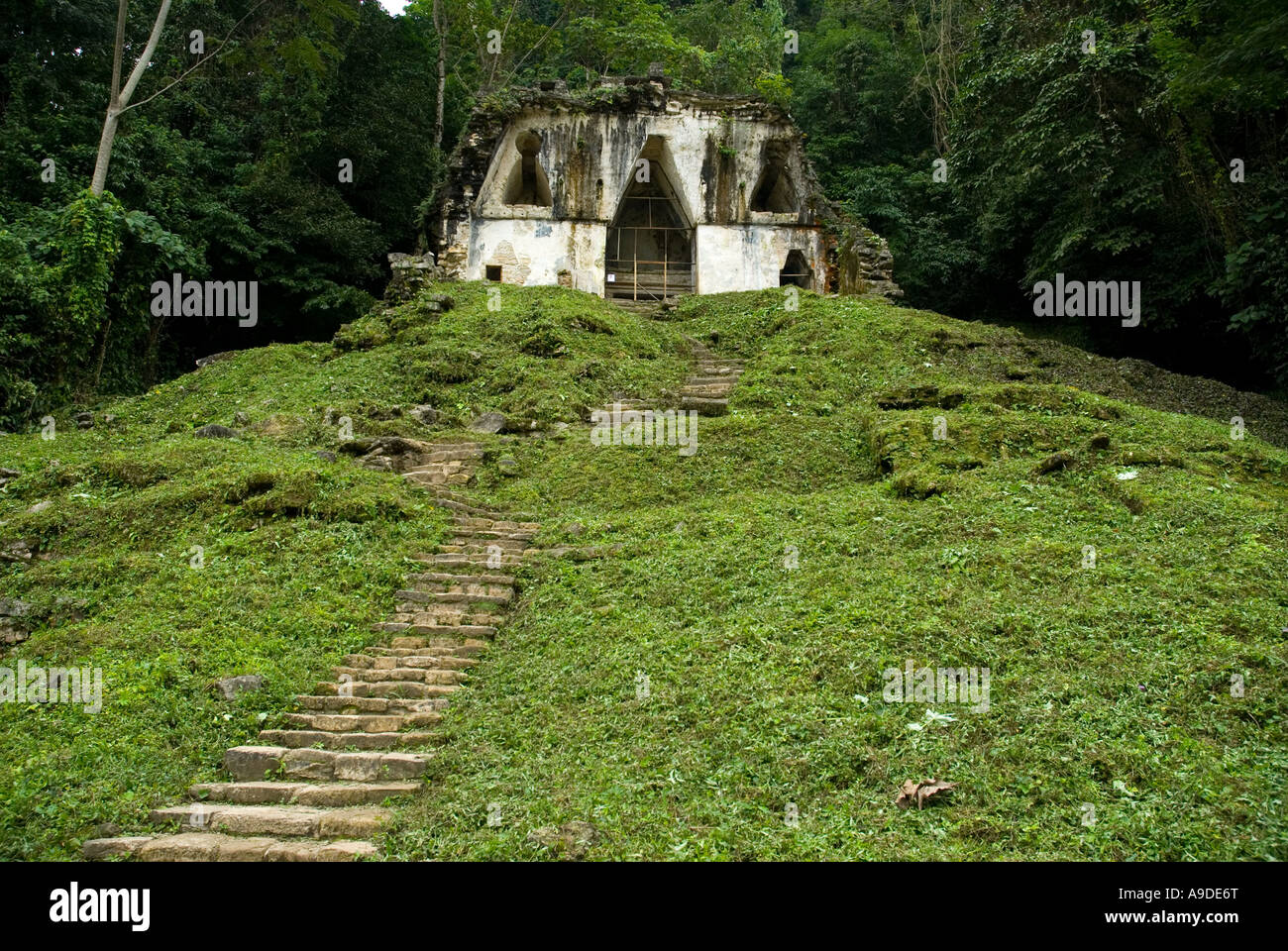 Palenque temple of the cruz foliada Chiapas Mexico Stock Photo