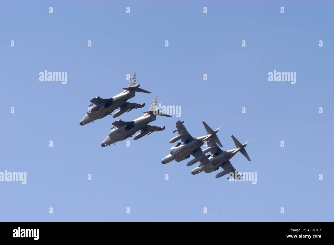 Royal Navy Sea Harriers Stock Photo
