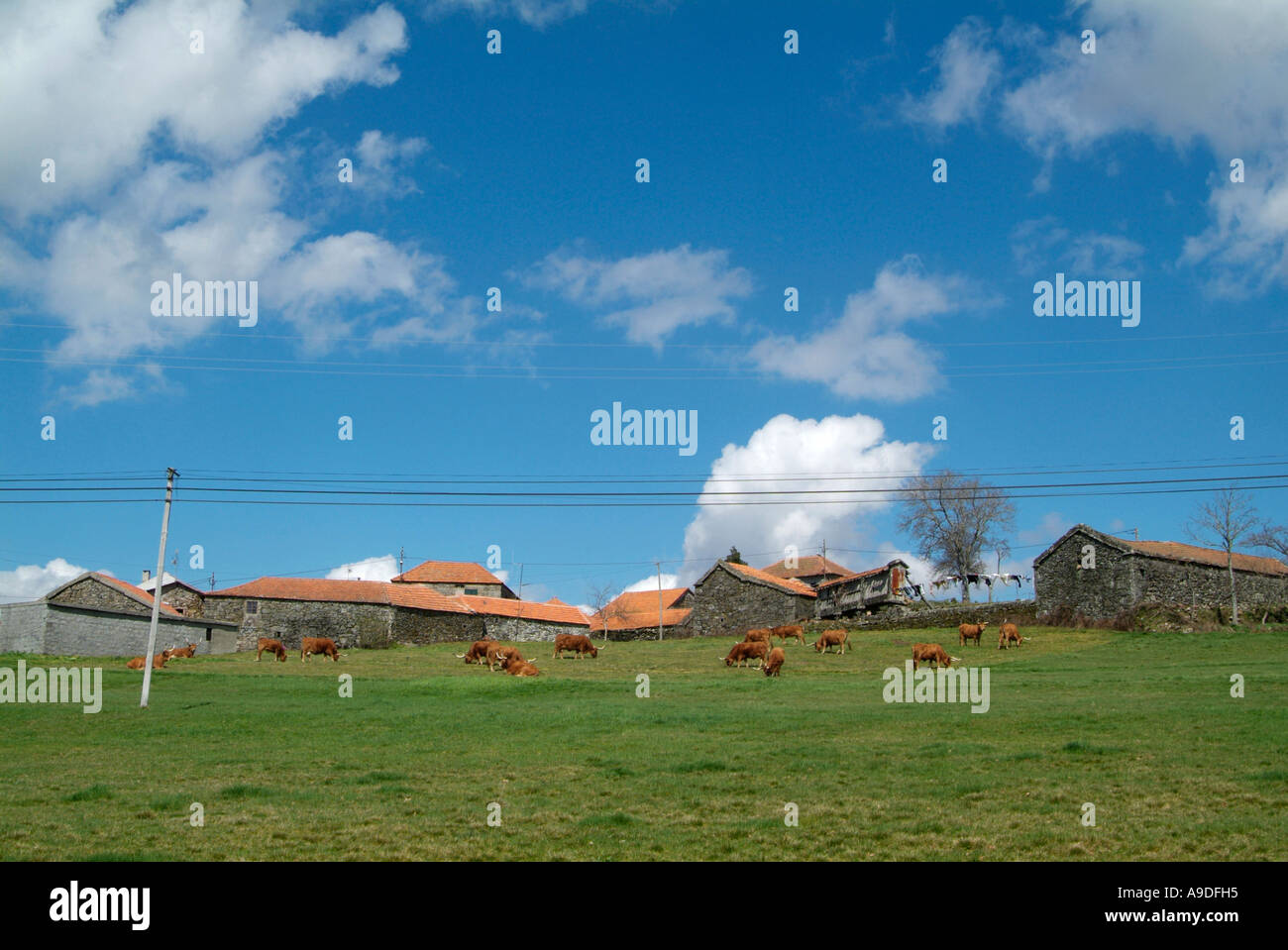 Montalegre hi-res stock photography and images - Alamy