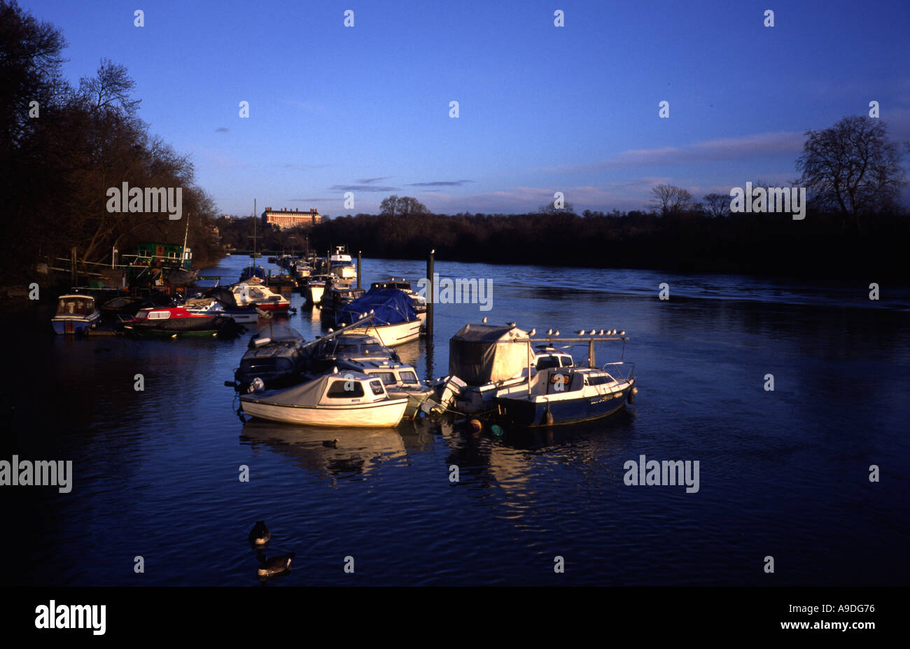 Moored boats on River Thames at Twickenham with Royal Star and Garter Home for Ex Servicemen and Women on the hill behind Stock Photo