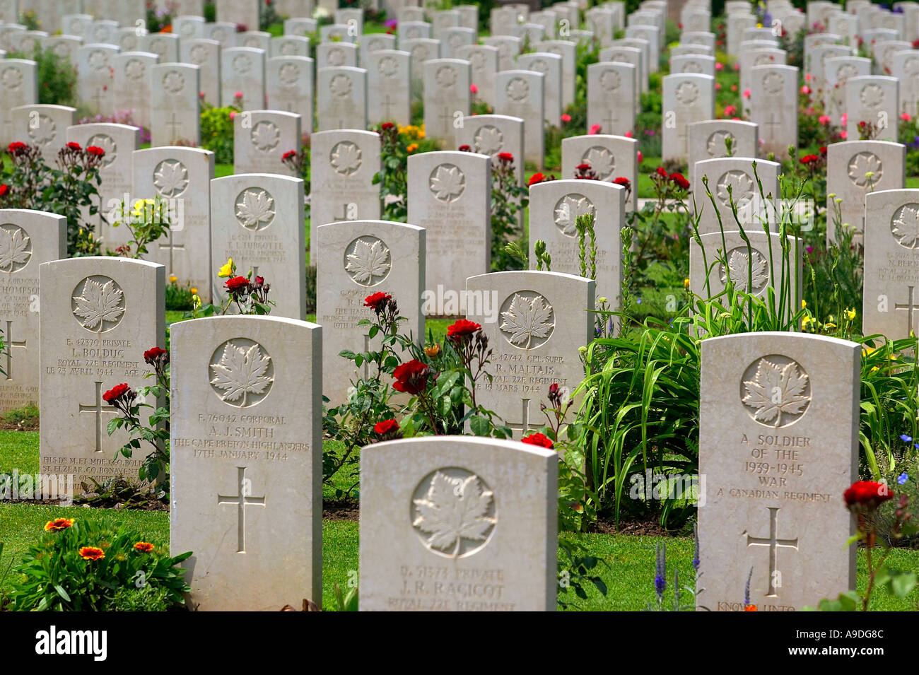 Canadian war cemetery at Ortona, Italy. Stock Photo