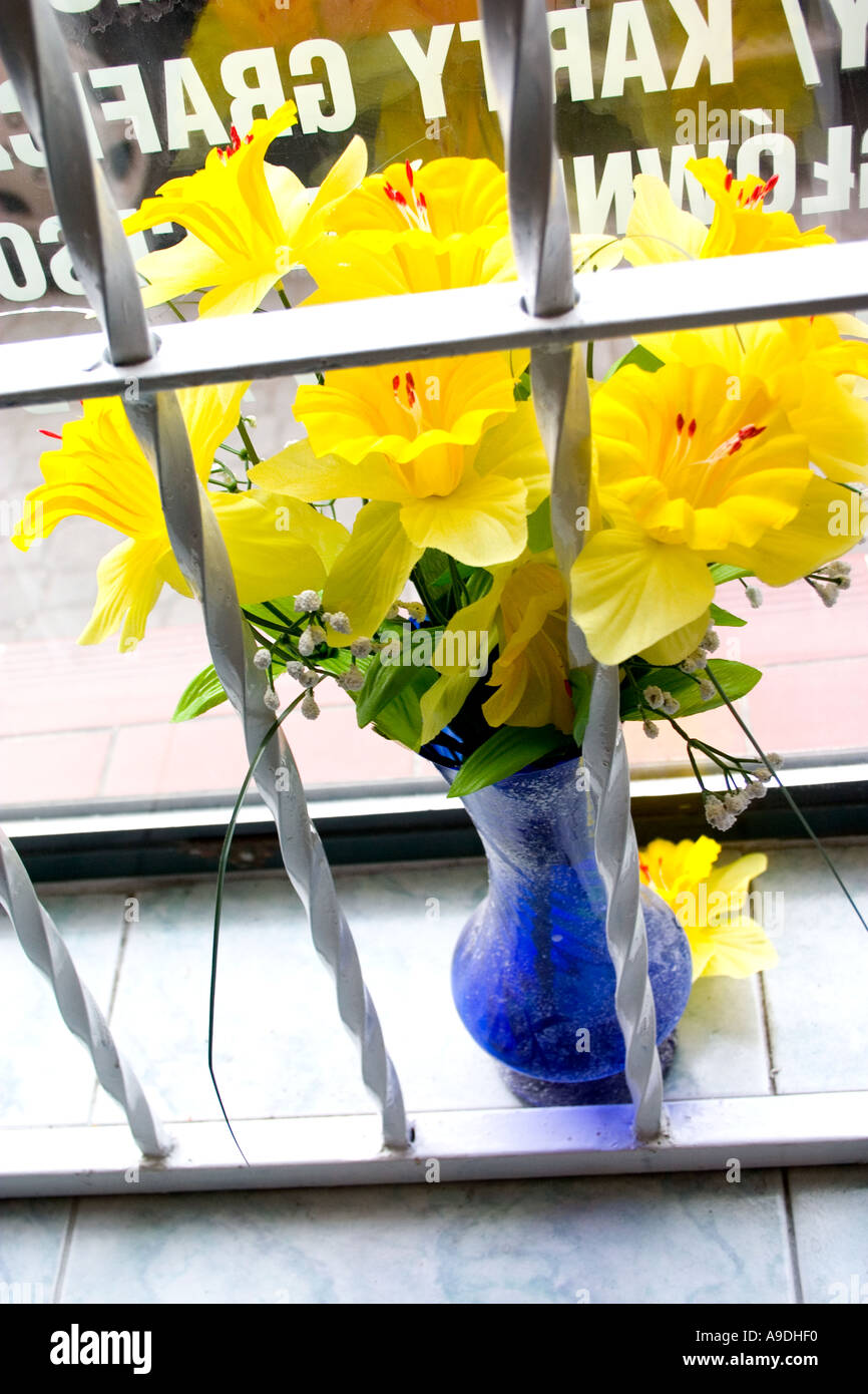 Bouquet of yellow Jonquils in flower shop window. Rawa Mazowiecka Poland Stock Photo