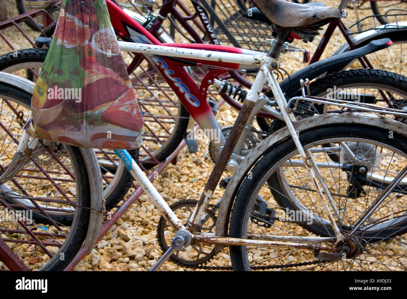 Bicycles parked in racks with grocery bag. Sadykierz Poland Stock Photo