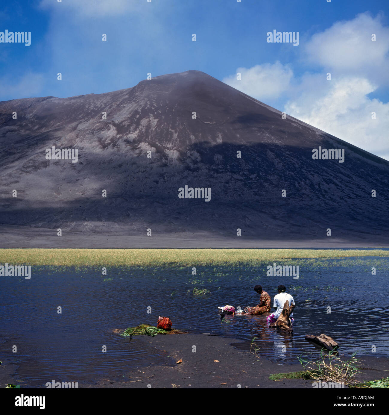 Local couple work in the reed beds at foot of Mount Yasur Volcano on Tanna Island in Vanuatu Island Group the South Pacific Stock Photo