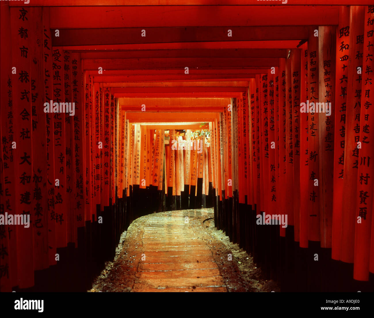Torii Fushimi Inari shrine Kyoto Japan Stock Photo - Alamy