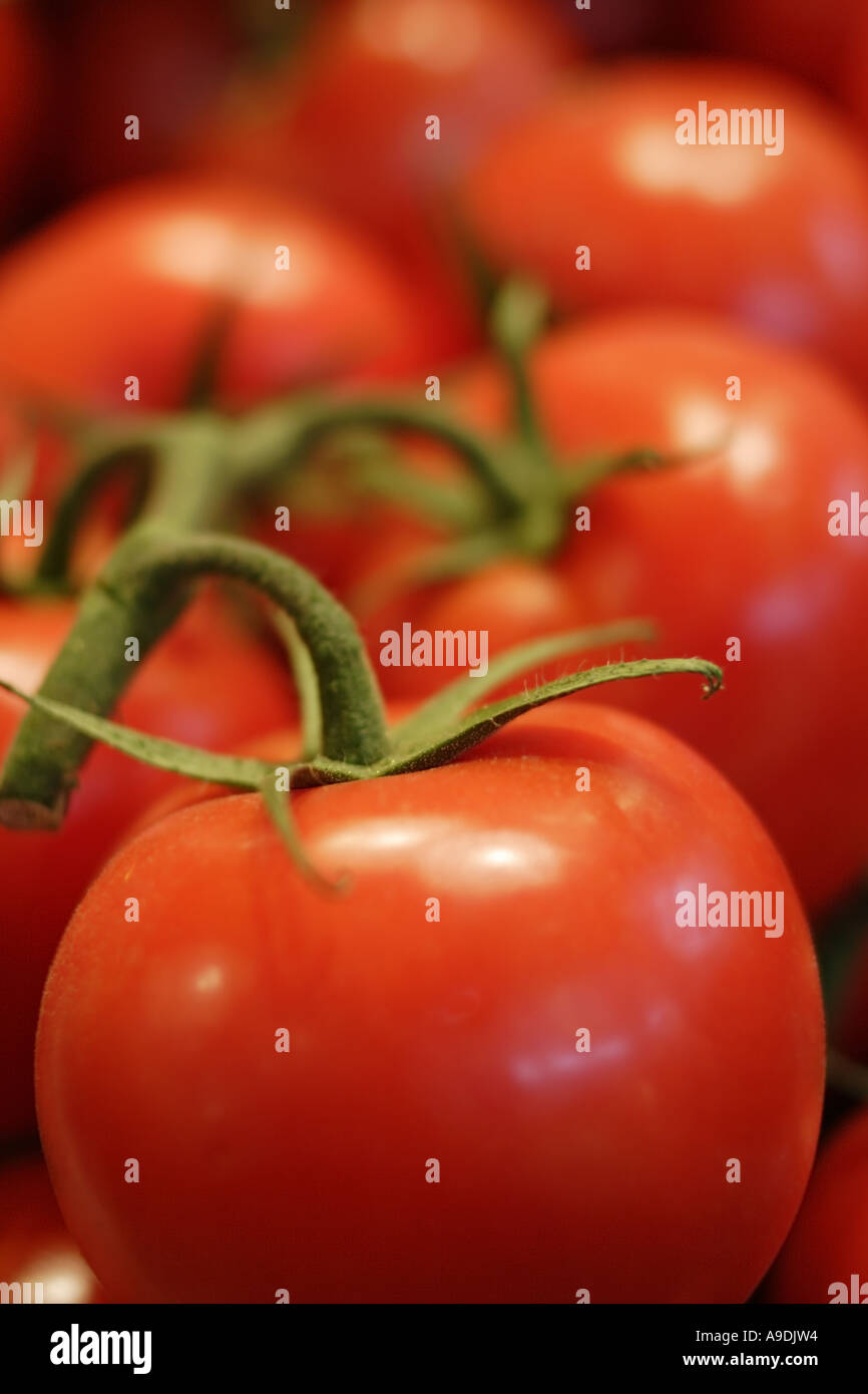 Closeup red tomatoes hi-res stock photography and images - Alamy