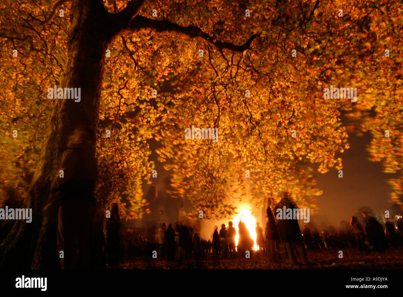 People watching a Guy Fawkes night bonfire Stock Photo