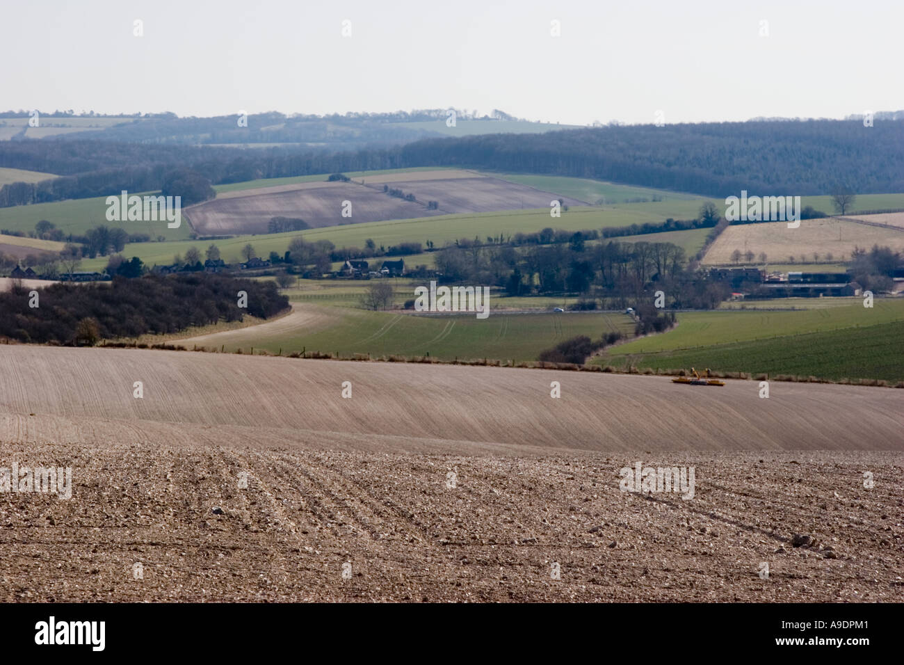 View across Fyfield Down near Marlborough in Wiltshire Stock Photo Alamy