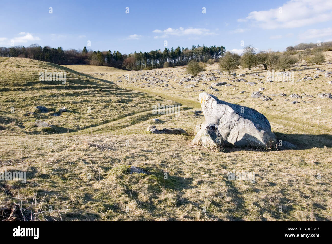 View across Fyfield Down near Marlborough in Wiltshire Stock Photo Alamy