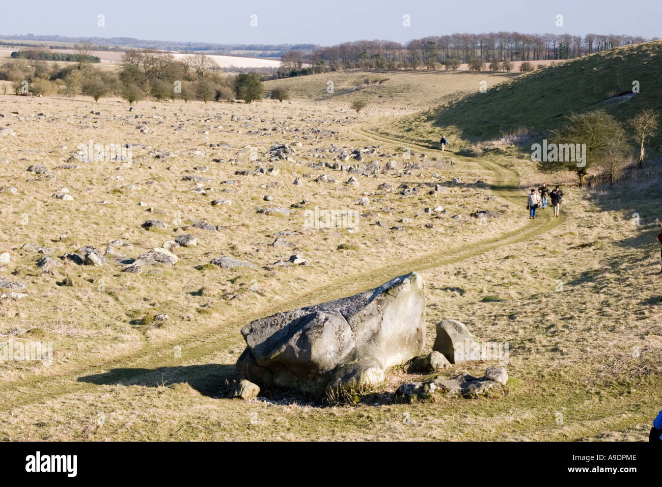 View across Fyfield Down near Marlborough in Wiltshire Stock Photo Alamy
