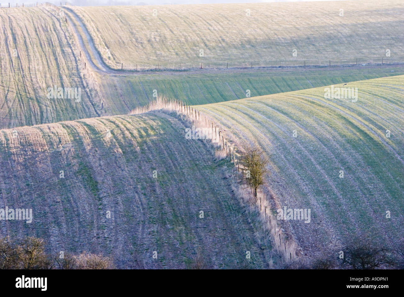 View across Fyfield Down near Marlborough in Wiltshire Stock Photo Alamy