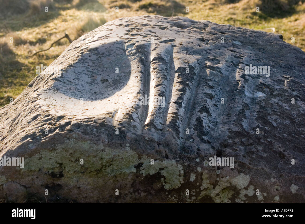 Ancient polishing stone The Polissoir used for grinding polishing and