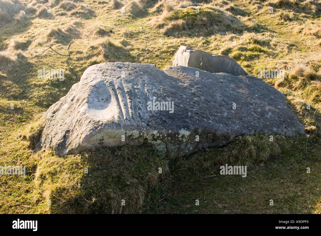 Ancient polishing stone The Polissoir used for grinding polishing and